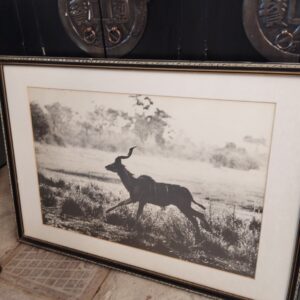 Large Framed Kudu Wildlife Photograph – Black & White – African Bush Scene