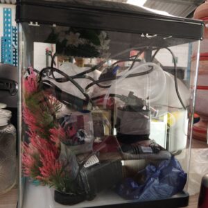 Complete Glass Aquarium Fish Tank Setup with Filter, Pump, Accessories & Artificial Plants